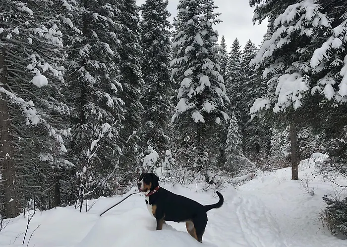 Teton Teepee